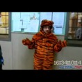 Наша Russia/Александр Родионович Бородач - тигра-попрыгун
